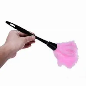 Antique Plastic Duster