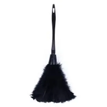 Mishal Plastic Duster