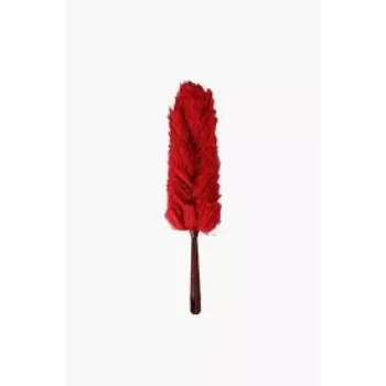 Taj Enterprises Glass Duster Cleaner