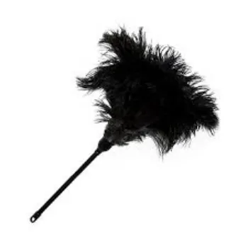 Finishing Polished Plastic Duster