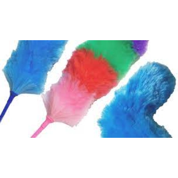 Multicolor Plastic Duster
