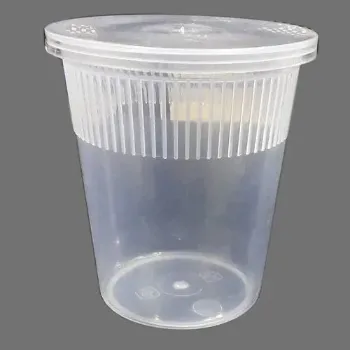 Standard Plastic Glass