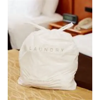 Premium Quality Plastic Laundry Bag