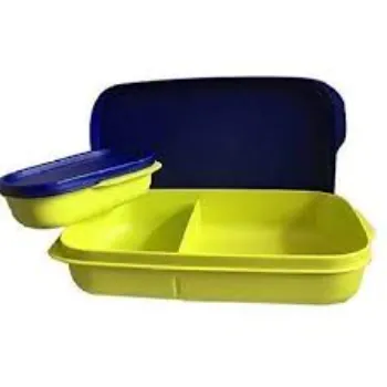 Impervious Plastic Lunch Box