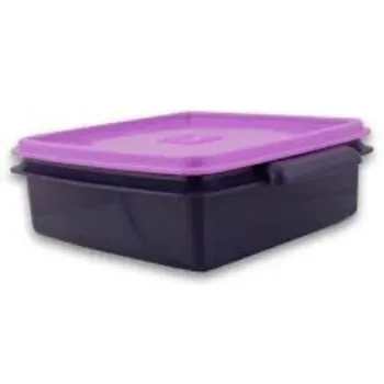 Plastic Lunch Box