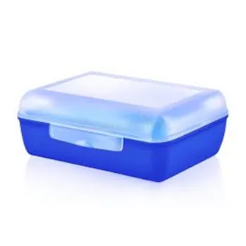 Plastic Lunch Box Blue Color 