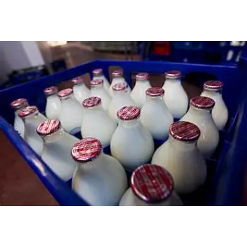 Plastic Milk Bottles