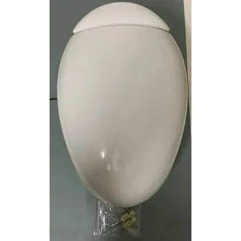 Polished Plastic Toilet Seat Cover