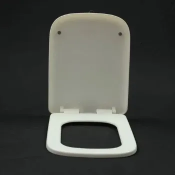 Polished Plastic Toilet Seat Cover