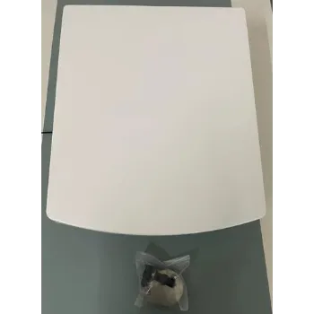 Polished Plastic Toilet Seat Cover