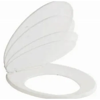 Polished Plastic Toilet Seat Cover