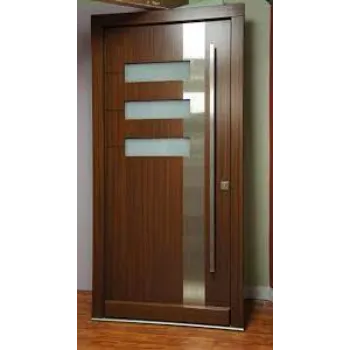 Modern Plywood Door