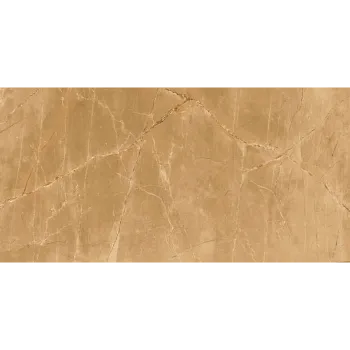 Shambhavi Polished Slab