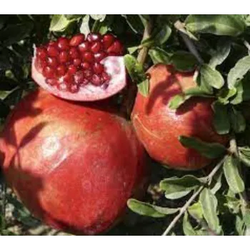 Natural Pomegranate