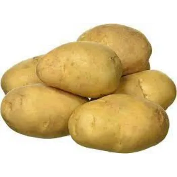 Natural Fresh Potato