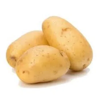 Common  Fresh Potato