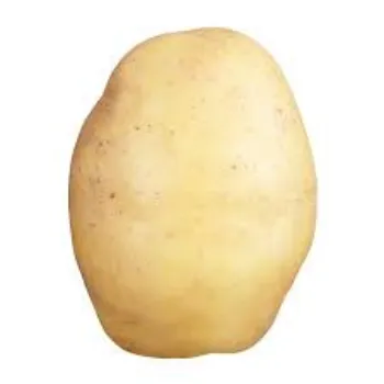 Organic Potato