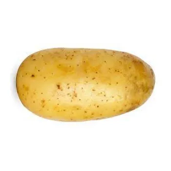 Organic Fresh Potato