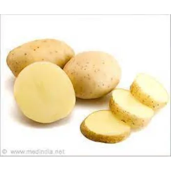 Common Fresh Potato