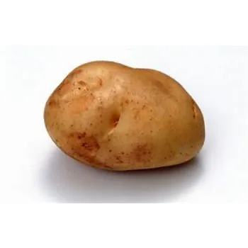 Potato