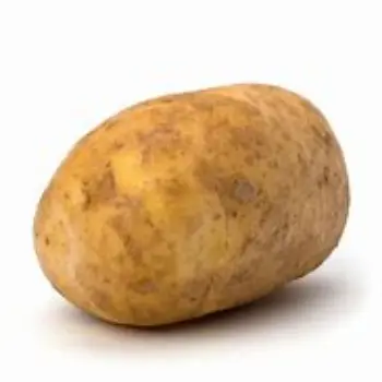 Potato