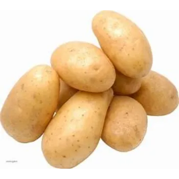 Potato