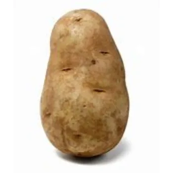 Potato