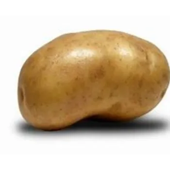 Potato