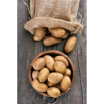 Fresh Potato