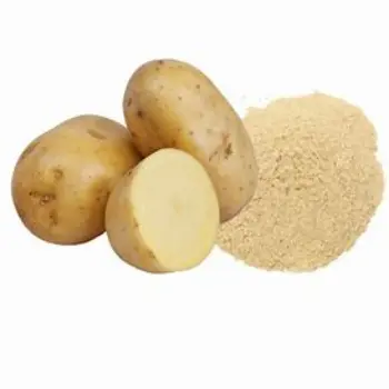 Fresh Potato Powder