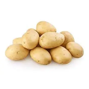 Common Fresh Potato