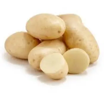 Natural Fresh Potato
