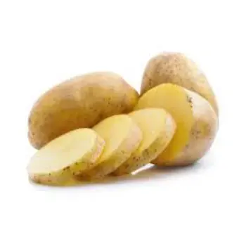 Common Fresh Potato
