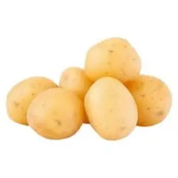 Common Potato
