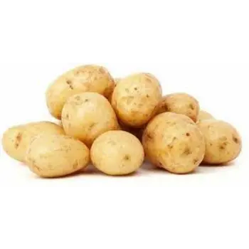 Natural Fresh Potato