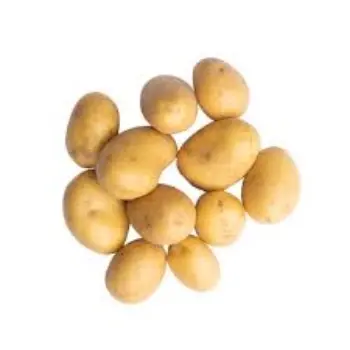 Common Fresh Potato