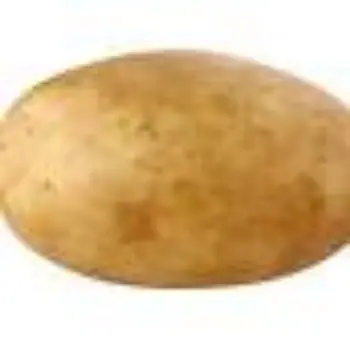 Natural Fresh Potato