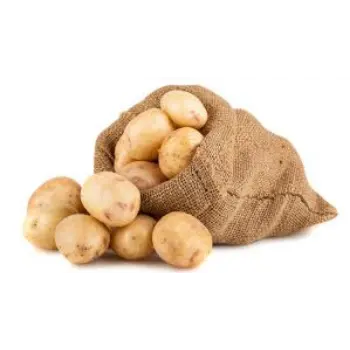 Common Fresh Potato