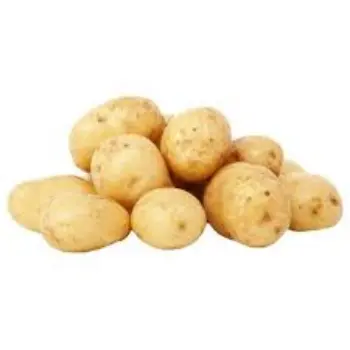 Natural Fresh Potato