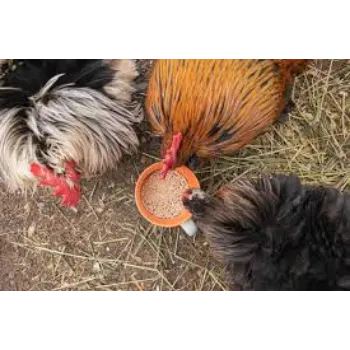 Natural Poultry Feed