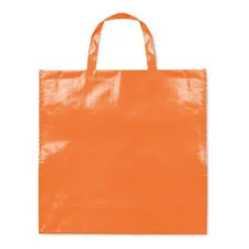 PP Woven Bags