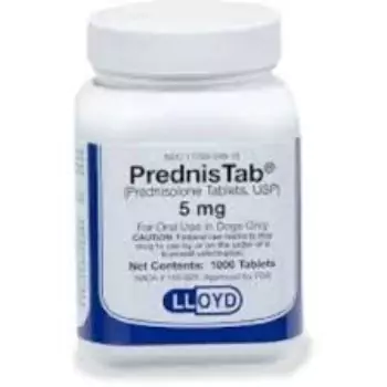 Prednisolone Tablet