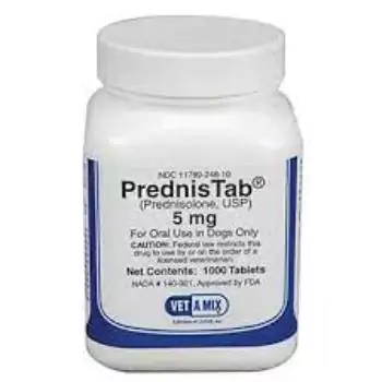 Prednisolone Tablet