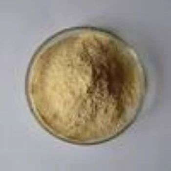 Protein Hydrolysate Powder