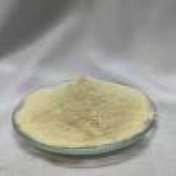 Protein Hydrolysate Powder