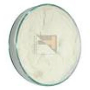 Protein Hydrolysate Powder