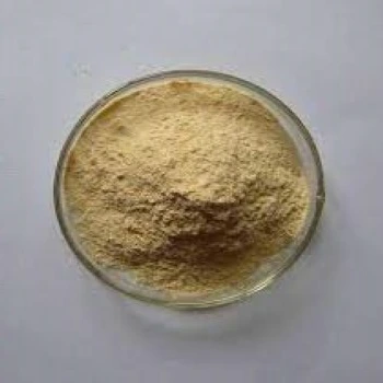 Protein Hydrolysate Powder