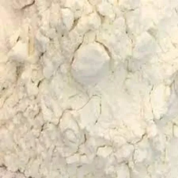 Protein Hydrolysate Powder