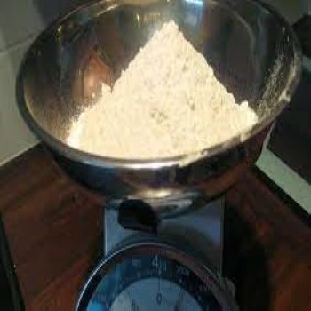 Protein Supplements