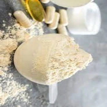 Protein Supplements